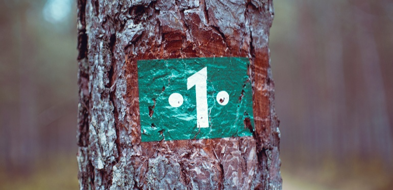 Hur hamnar jag högst i Googles sökresultat?